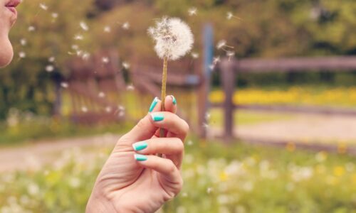Stressfrei sein durch bewusstes Atmen