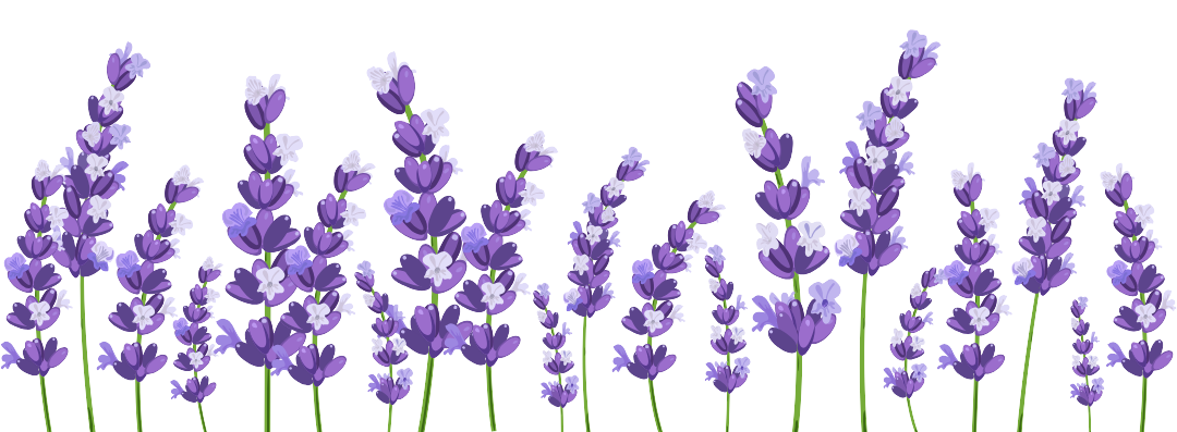 Tipps für ätherische Öle - Lavendel