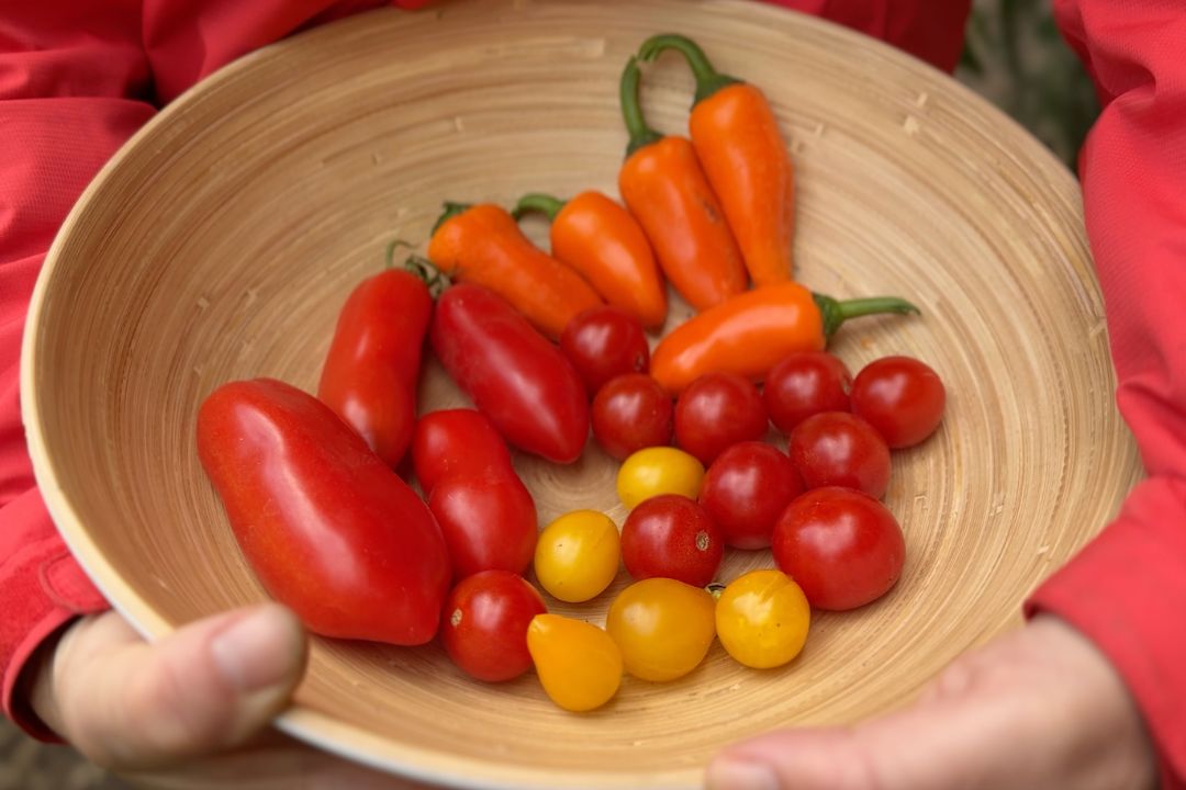 Schubkarren rot Kindergärtnerei