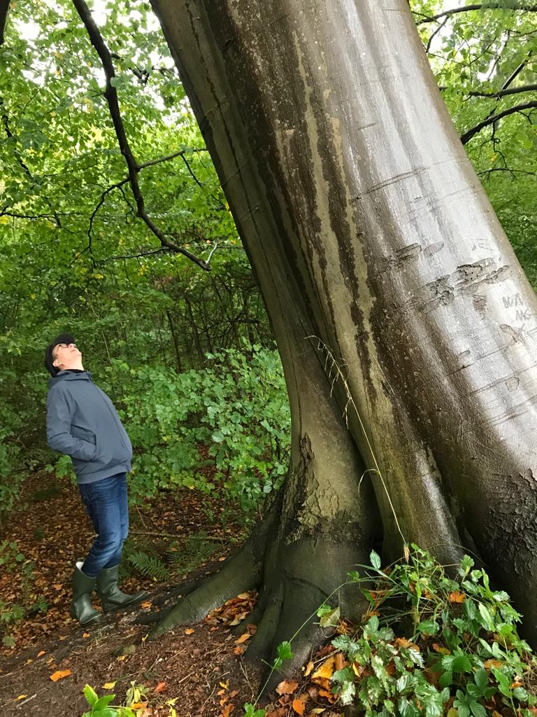 Gut Kleve Events der Park